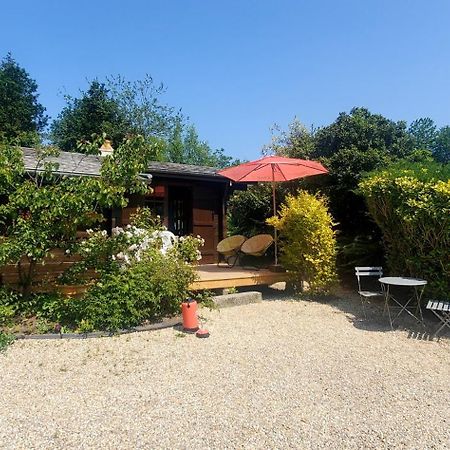 Chalet En Pleine Nature Au Bord D'Un Etang Lanvallay Exterior photo